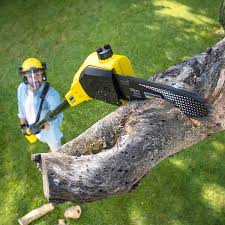 Best Pest Control for Lawns  in Eagle, ID